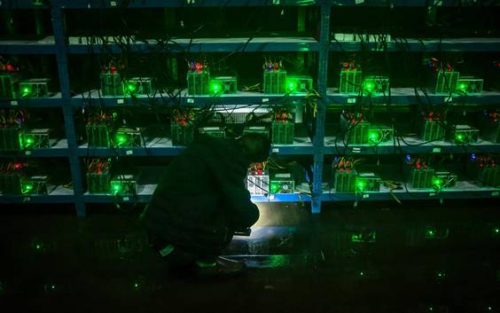 Bitcoin doorloopt alle stadia van een klassieke financiële bubbel: wanneer volgt de crash?