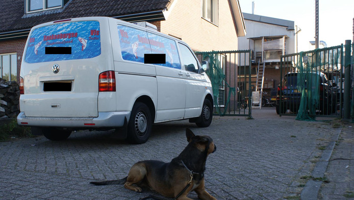 ?appId=21791a8992982cd8da851550a453bd7f&quality=0.9