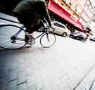 In kaart: dit zijn de gevaarlijkste (fiets)kruispunten van Vlaanderen