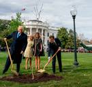 De boom van Macron is na minder dan een week alweer weg van gazon voor het Witte Huis