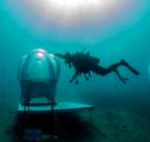 Stijgende zeespiegel? Deze broers kweken hun aardbeien onder water