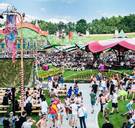 Geweigerden Tomorrowland mogen nu toch gaan