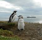 Dit mag u niet missen op tv vanavond