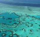 Ondanks verbleking: voor Unesco is Great Barrier Reef niet in gevaar