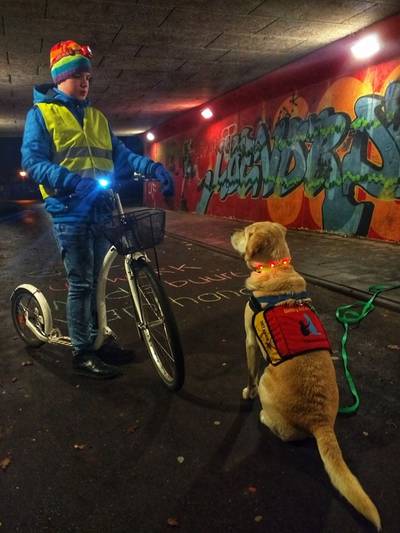 Autistische Tycho: Kijk uit met vuurwerk bij mijn hulphond