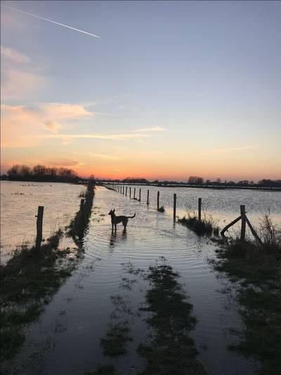 Hoogwater in beeld