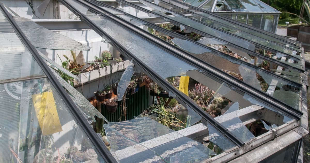 Botanische tuin tijdelijk gesloten Antwerpen Regio HLN