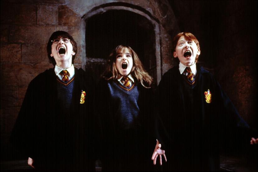 Er vindt dit jaar een enorme Harry Potter conventie plaats!