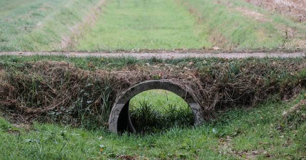 Zo droog was het nog nooit in Liemers en Achterhoek: ‘Er moet nog heel veel regen vallen’