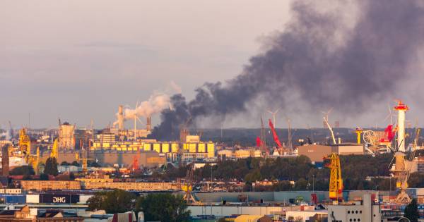 Grote brand in Vlaardingse haven, hulpdiensten massaal onderweg.