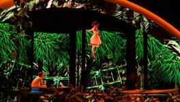Deze trampolinespringers brengen Tarzan & Jane tot leven