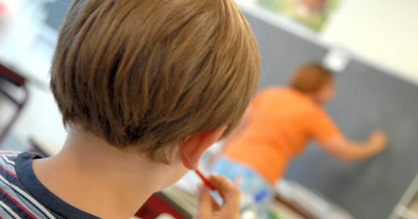 Bommelerwijs gaat zij-instromers werven om lerarentekort voor te blijven - BD.nl