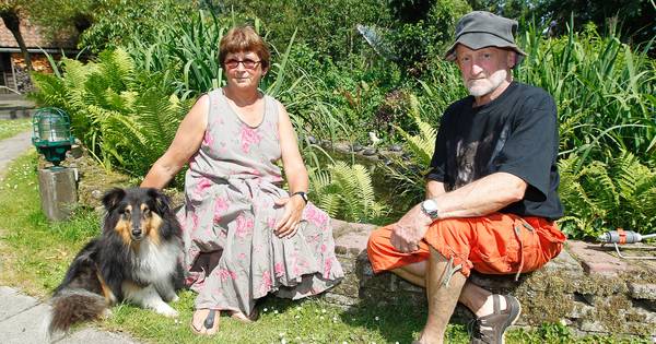 Schildpad domineert camping in Budel-Schoot | Cranendonck - Eindhovens Dagblad