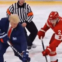 De president van de US-AI: Trumps meest notoire digitale hersenspinsels