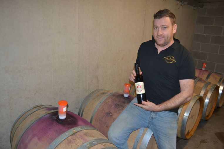 Tussen de vaten wijn...