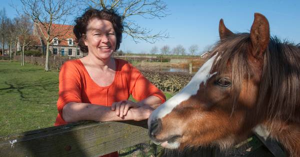 Concert@Sir in de polder | Schouwen-Duiveland - PZC