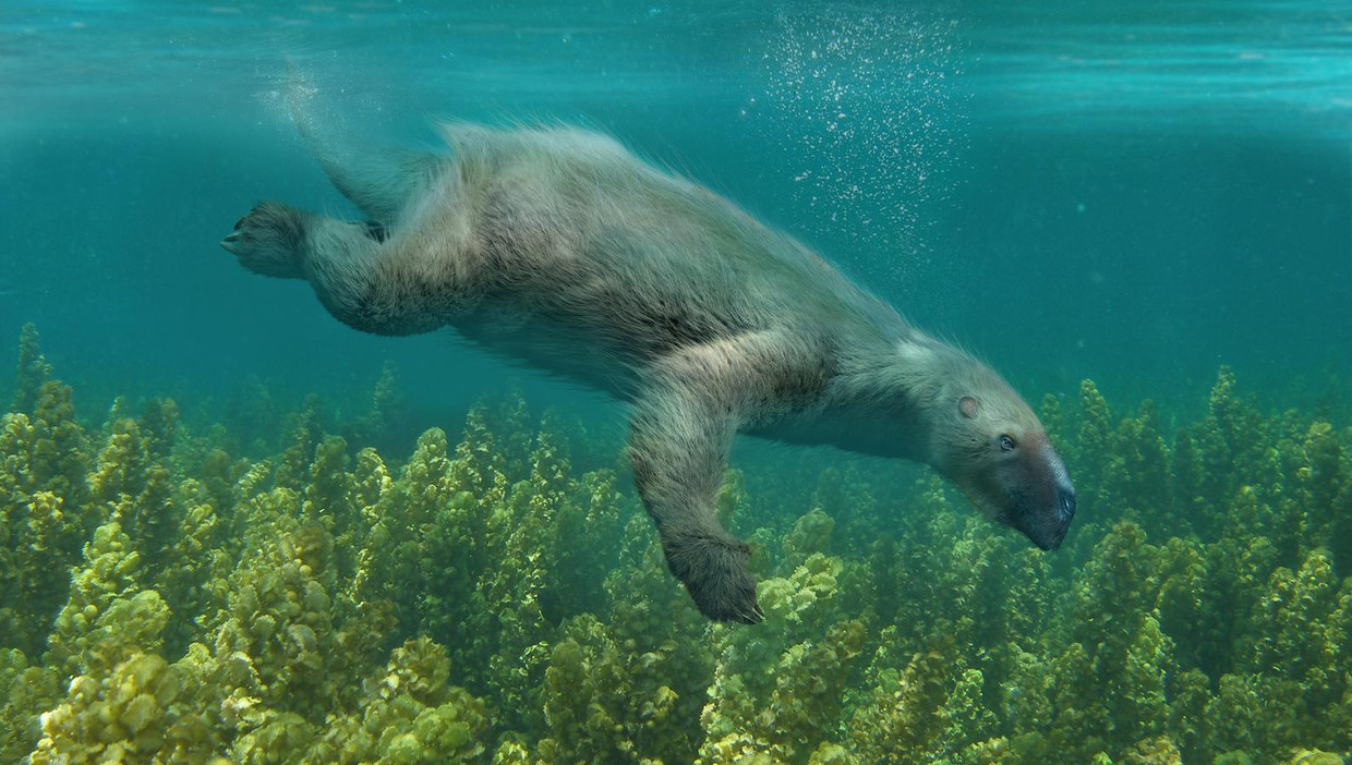 Miljoenen jaren geleden stierven er massaal grote zeedieren uit De Volkskrant