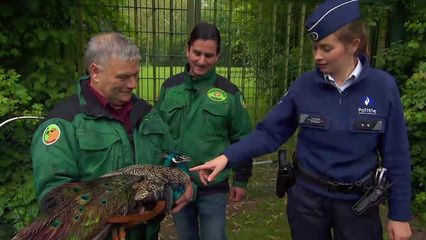13. Aflevering 13