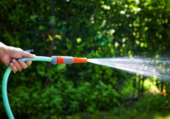 De tuin weer sproeien? Zoveel kost één sproeibeurt