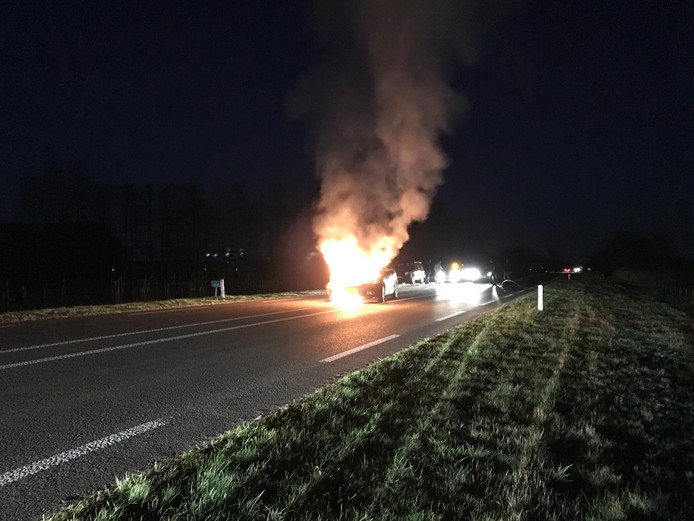 Auto vliegt in brand na aanrijding met kalf.