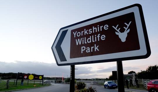 Man sterft in Britse zoo nadat hij het verblijf van de tijgers binnendrong