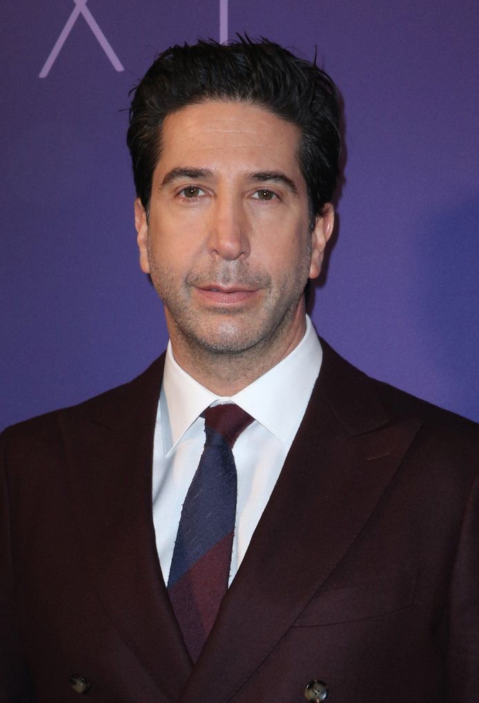 'Friends'-ster David Schwimmer 3 jaar na scheiding opnieuw ...