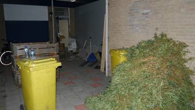 Ruim 900 hennepplanten gevonden in voormalige Rabobank in Groesbeek