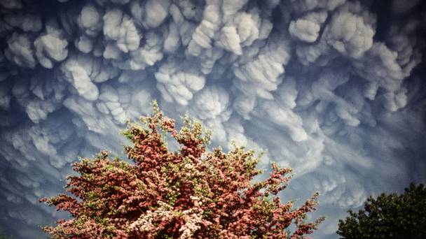 America's Deadliest Volcano Disaster