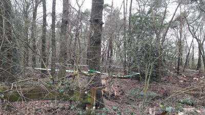 Foutje: Staatsbosbeheer vernielt dassenburcht in Overasselt