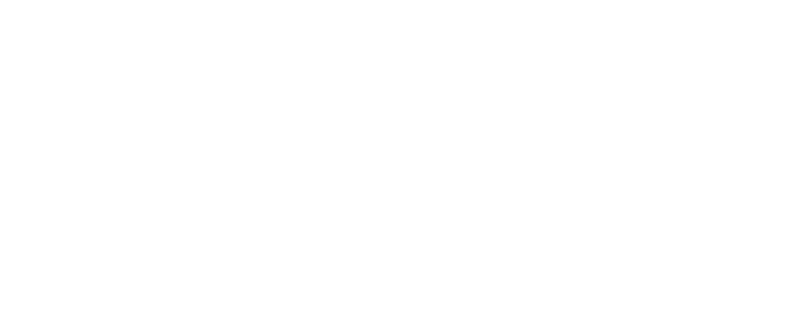 Un Noël à sauver