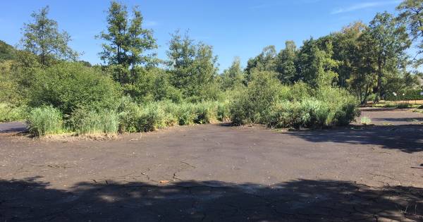 Nog nooit stond het Plasmolense moeras droog, maar nu dus wel