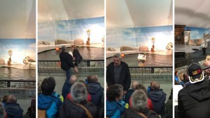 Antwerpse zoo hervat zeeleeuwenshows na protestactie