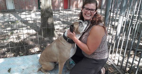 Hond Bennie uit gesloten asiel Den Ham heeft een baasje