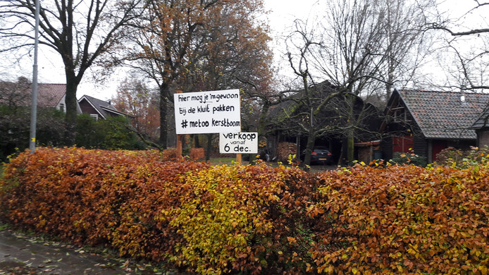 #metoo kerstbomen