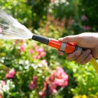 Op dít moment kun je je buitenplanten het beste water geven