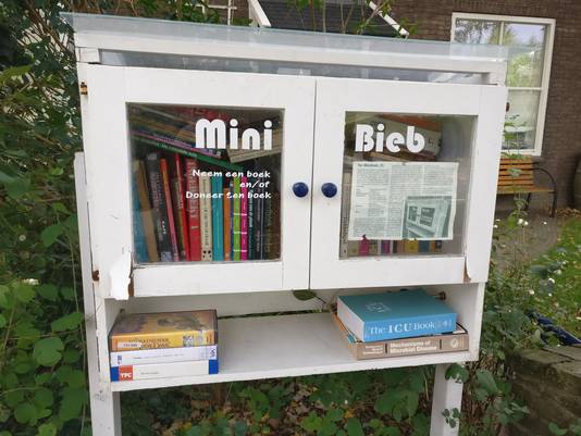 De buurtbieb aan de Berg en Dalseweg.