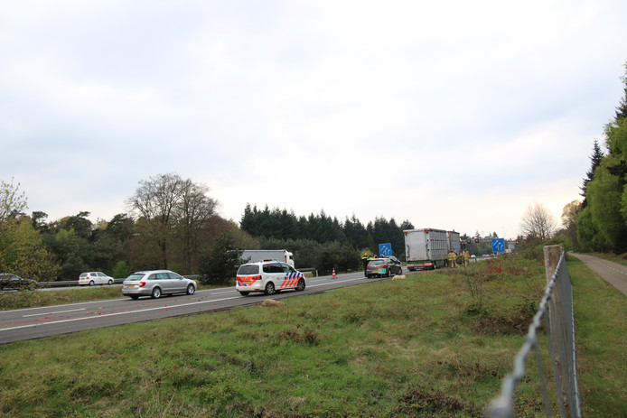 Langs en op de weg liggen meerdere dode schapen.