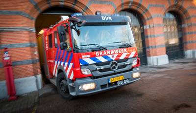 Paard sterft door onderkoeling in spoorsloot Delden