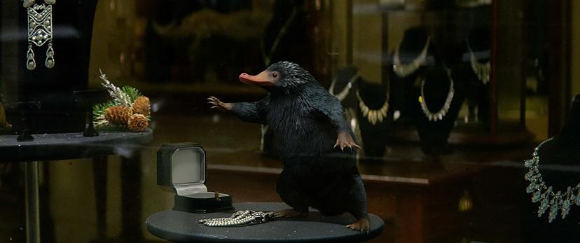 Een Niffler in Fantastic Beasts and Where to Find Them