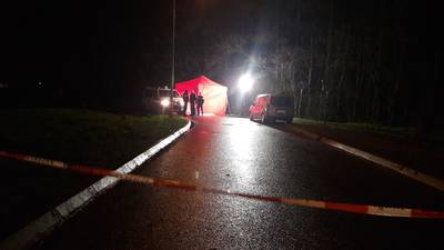 In Geldermalsen doodgestoken man is 36-jarige inwoner uit Beneden-Leeuwen