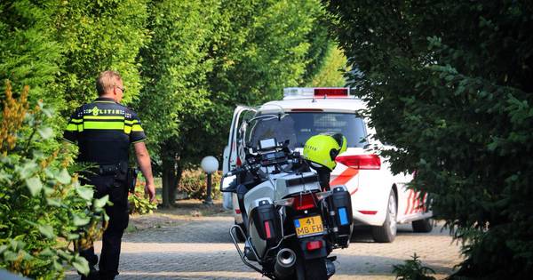 Getuige blokkeert auto van inbrekers in Weerselo