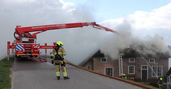 @RCE_agrarisch @gelderlander En nog 1...