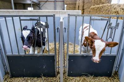 Actieplan moet stalbranden gaan verminderen