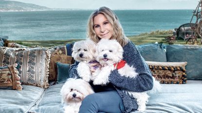 Barbra Streisand liet hond klonen, twee keer zelfs