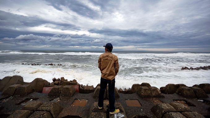 Recordaantal zeedieren maakte ongeziene wereldreis na tsunami in Japan