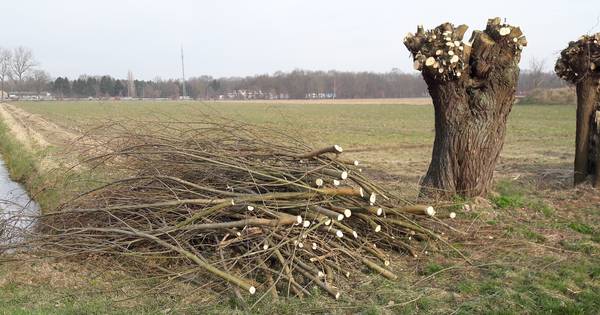 Dorpsraad Vinkel moet duidelijker zijn over Heesch-West
