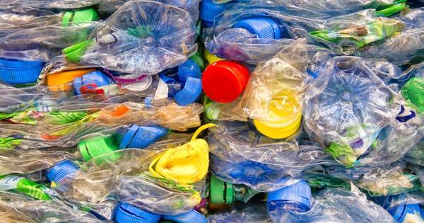 Dagje uit voor zwerfafvalpakkers in Kempengemeenten | Kempen - Eindhovens Dagblad