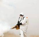 Live - Coronavirus: Belgen in Wuhan worden morgenavond gerepatrieerd; 6.000 mensen vast op cruiseschip