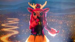 Wij willen niks missen van Bambi