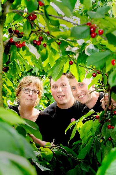 Fruitbedrijf Vink in Dreumel: ‘Je moet een groot incasseringsvermogen hebben’